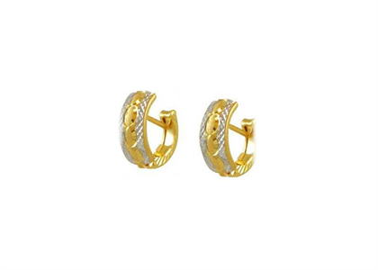 Two Tone Plated | Fashion Earrings